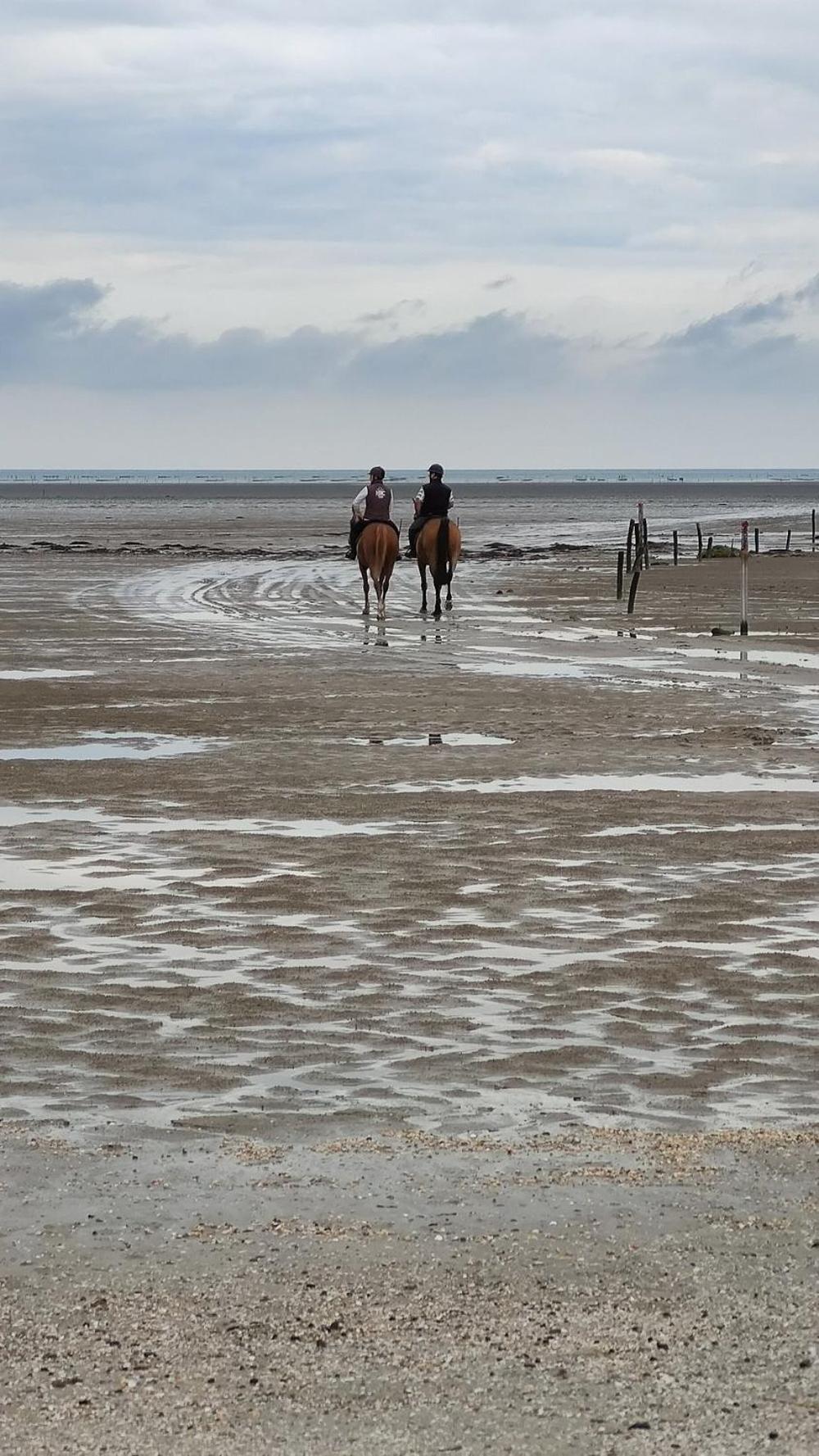 Le Lac Cherrueix エクステリア 写真